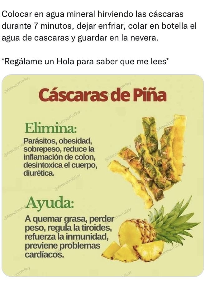 Cáscara de piña – Web Recetas Oficial