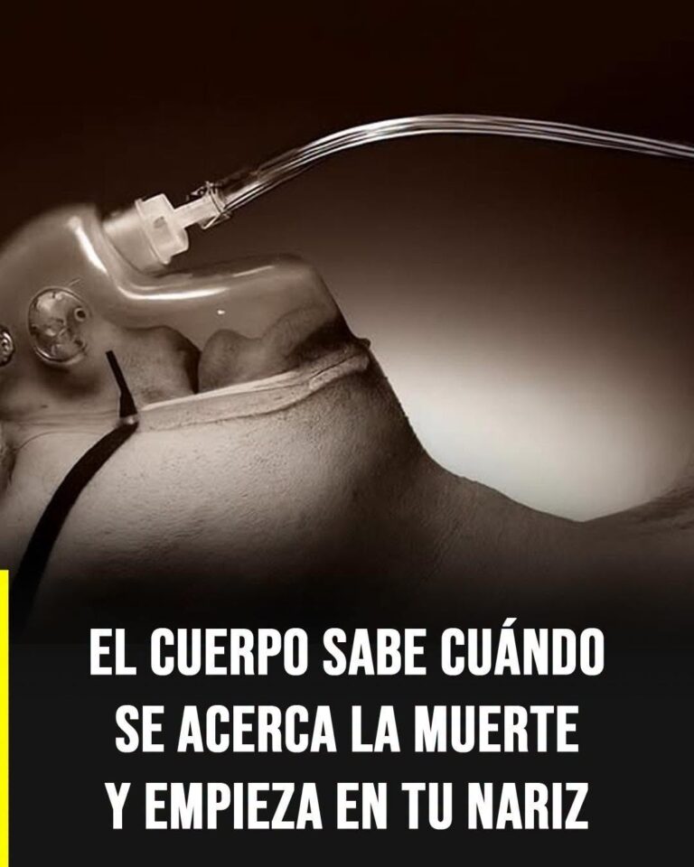 El olor que algunas personas perciben antes de la muerte: qué dice la ciencia y por qué ocurre