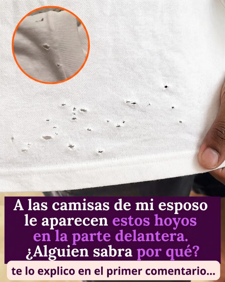 El misterio revelado: ¿Por qué aparecen pequeños agujeros en las camisetas de mi esposo?
