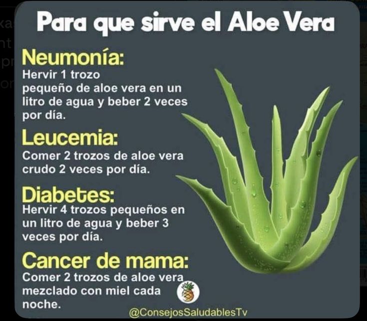 Beneficios del aloe vera