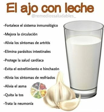 Beneficios del ajo en leche